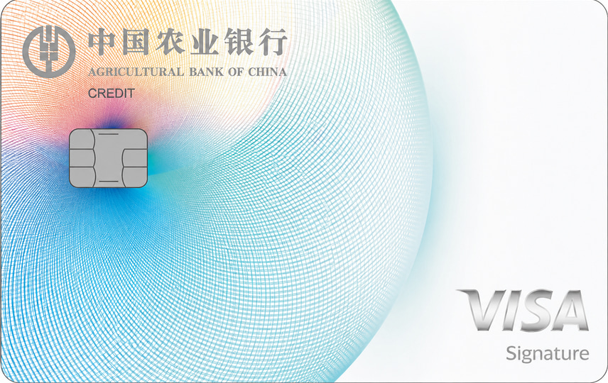 中国农业银行 Visa全球支付白金信用卡 信用卡 卡面