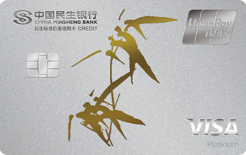 中国民生银行 民生标准白金卡（银联-Visa双标芯片卡） 信用卡 卡面